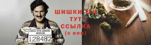 молекула духа Белокуриха
