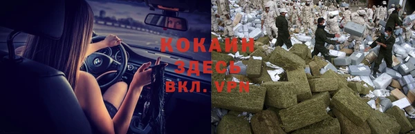 молекула духа Белокуриха