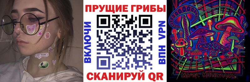 Галлюциногенные грибы GOLDEN TEACHER  что такое   Корсаков 